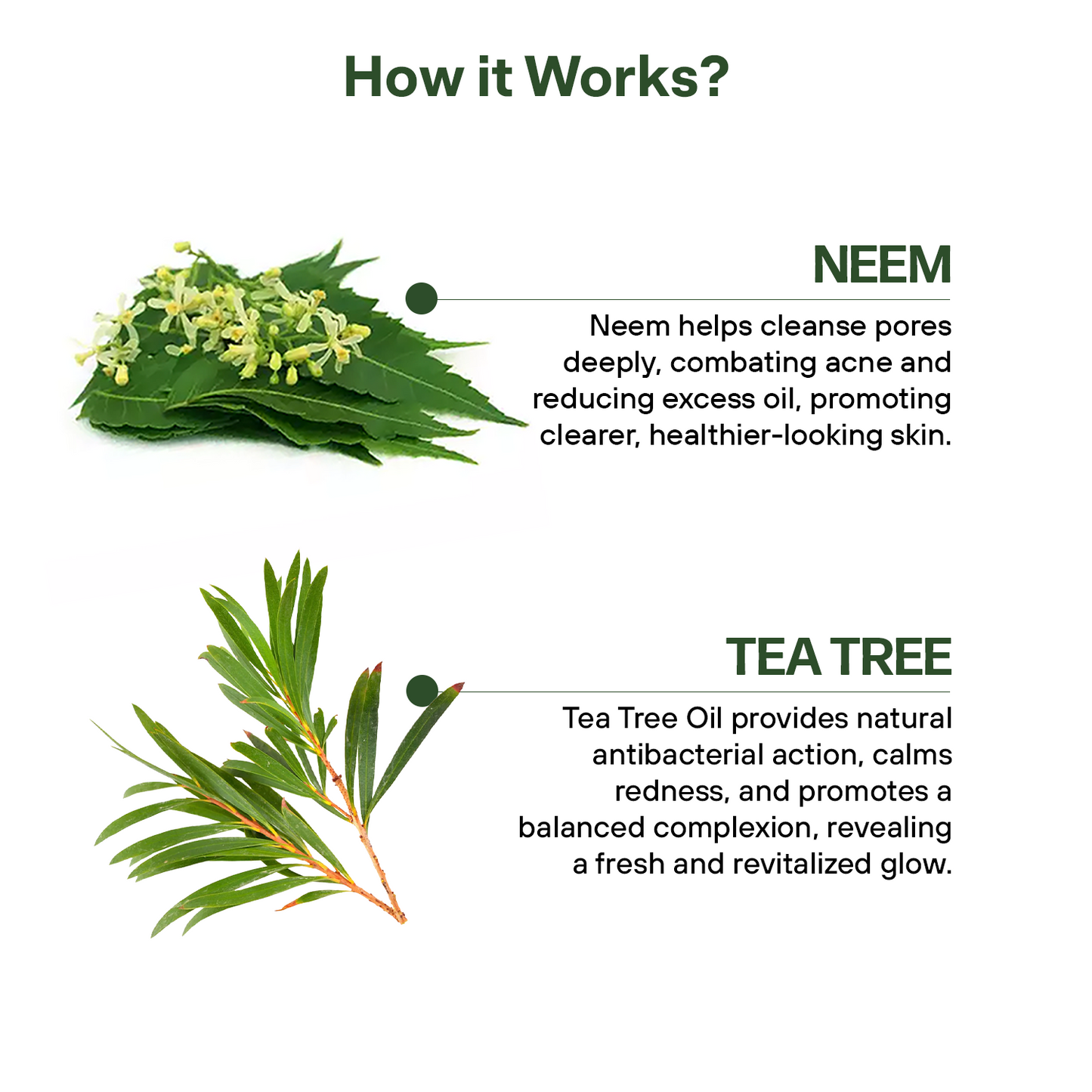 Mpil Wellness Neem & Tea Tree Facewash | Natural Face Wash For Acne & Pimples, Wash With Pure Neem & Tea Tree | Unisex face wash | Herbal face wash pack of 3