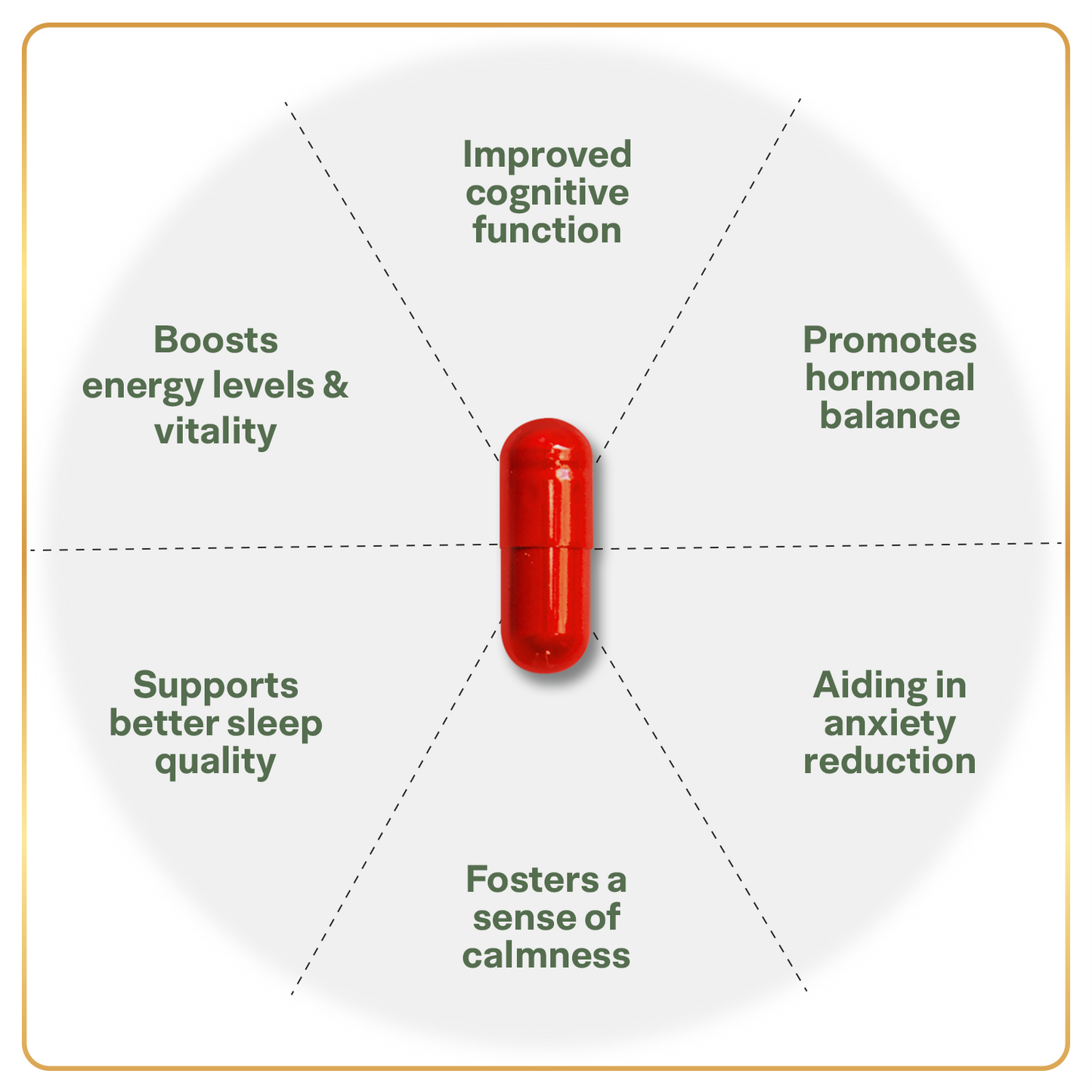 Ashwagandha capsule| Extract 350Mg + Jatamansi Extract (100Gm)