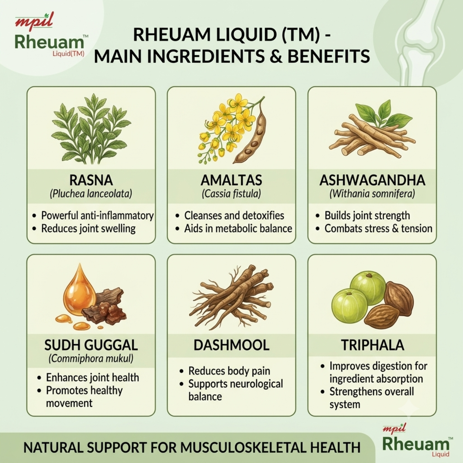 Rheuam Liquid: Advanced Ayurvedic Formula for Joint & Muscle Recovery