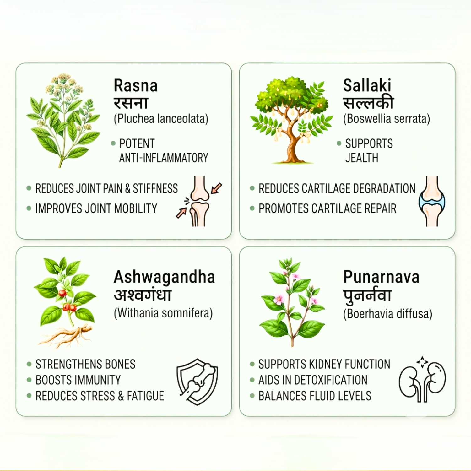Rheuam Forte for joints pain