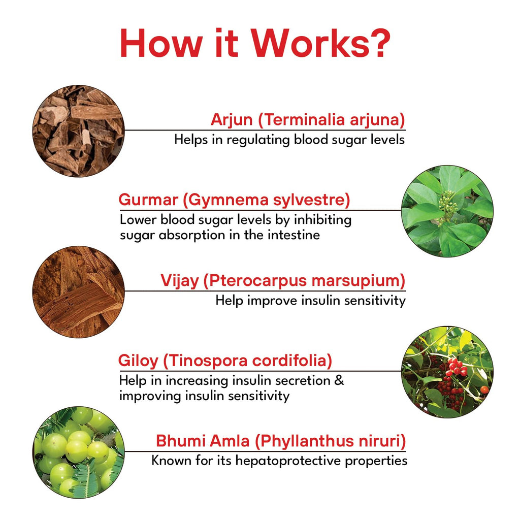 Daiboamrit: Natural Blood Sugar Support & Vitality Tonic