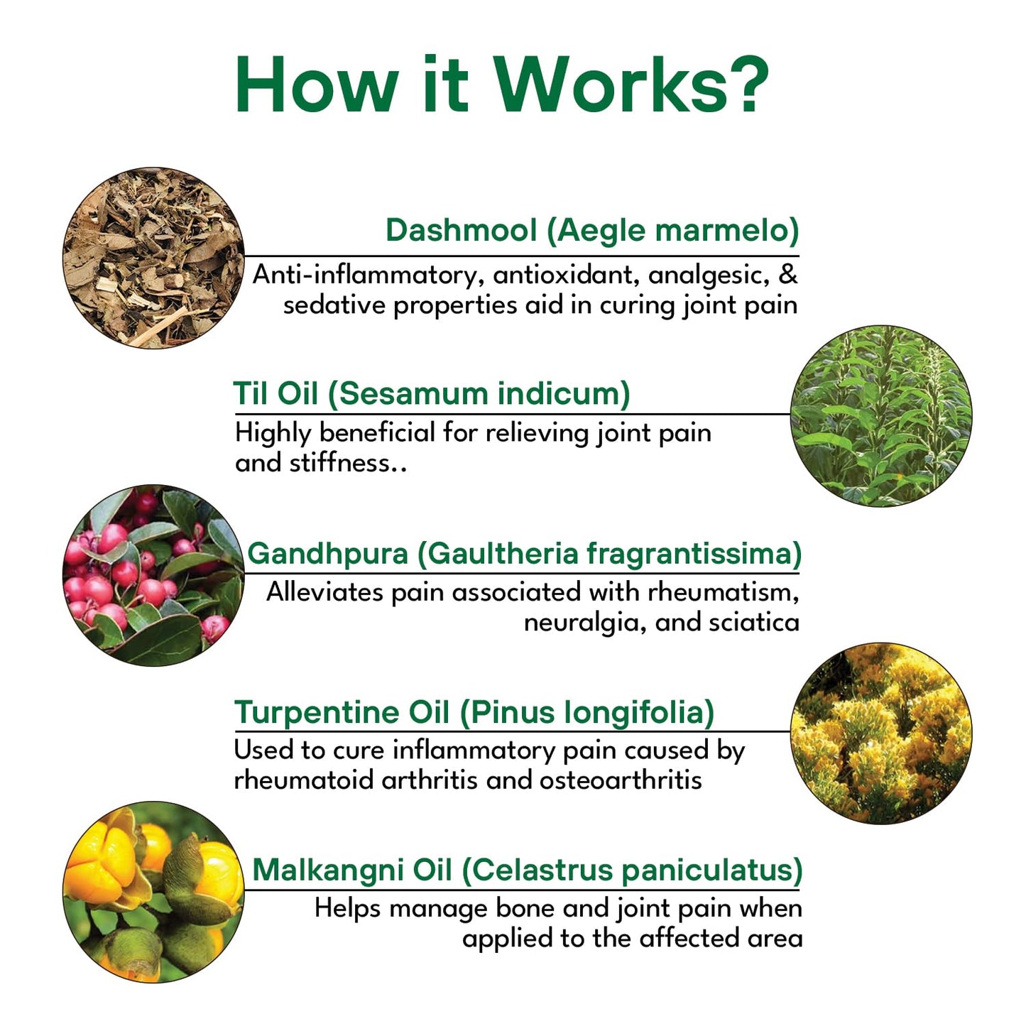 Rheuam Liniment Oil For Effective Pain Relief in Arthritis