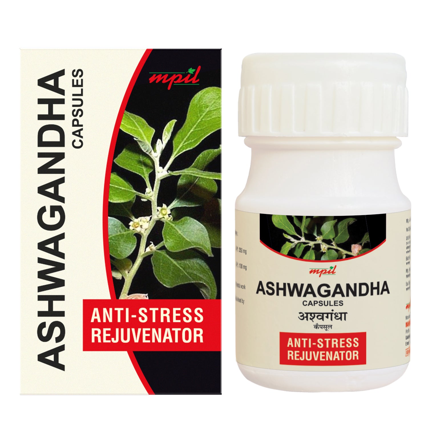 Ashwagandha & Jatamansi – Stress Relief & Vitality