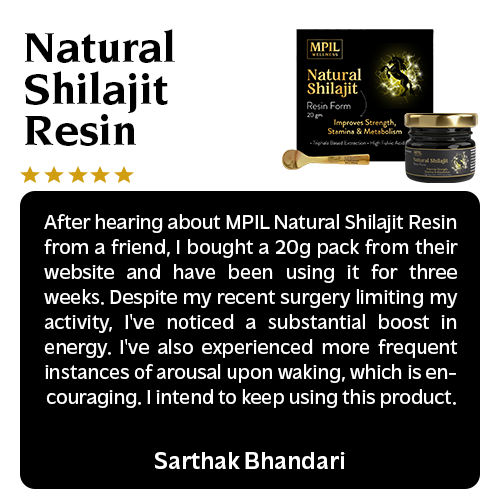 Natural Shilajit Resin