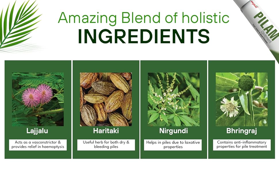 MPIL Pilam Syrup for Hemorrhoids , for Internal and External Piles | Natural Hemorrhoid Treatment | Swelling and Irritation | Fissure and Piles Care Relief