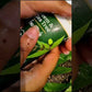 Neem & Tea Tree Facewash pack of 4